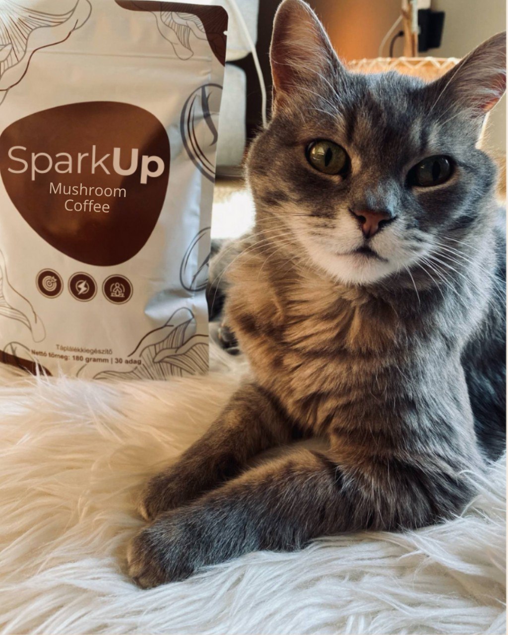 SparkUp™ - Specjalna kawa z grzybami /30 porcji/