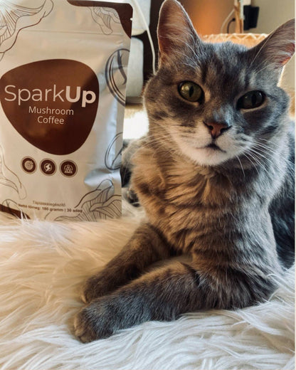 SparkUp™ - Specjalna kawa z grzybami /30 porcji/